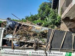 Best Garage Cleanout  in Anthony, NM